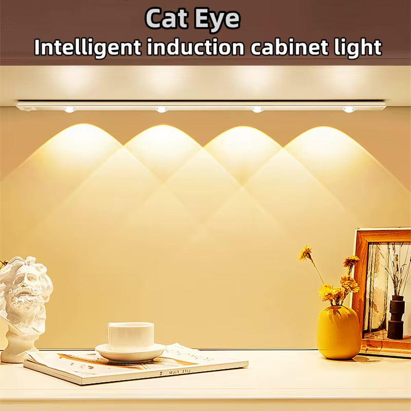 Rechargeable Intelligent Cabinet Light